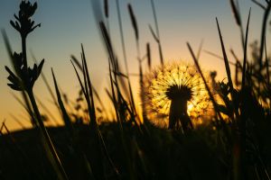 Olympus 20.04.22 19 56 56 04