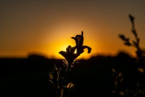 Olympus 20.04.22 20 08 05 03