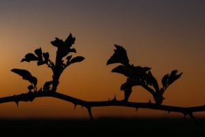 Olympus 20.04.22 20 31 38 02