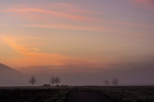 5 Moss A.Rosiger Morgenrot