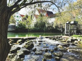 Steinlachwehr in Mossingen