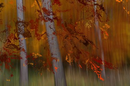 Medaille Landesfotomeisterschaft 2013 J&uuml;rgen Katz