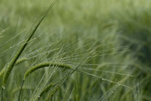 Warmtal 02 20210602 P6020128