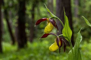 Warmtal 04 20210602 P6020137