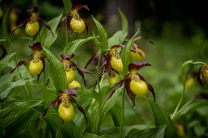 Warmtal 05 20210602 P6020141