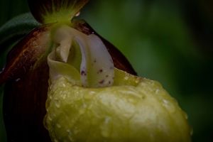 Warmtal 07 20210602 P6020144