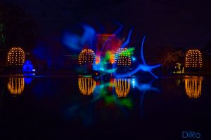 Christmas Garden Klara 1377122