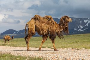 22 06 09 13.11.54 305 22.06.09 org ma