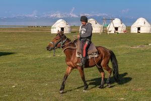 22 06 10 04.14.25 169 22.06.10 org ma