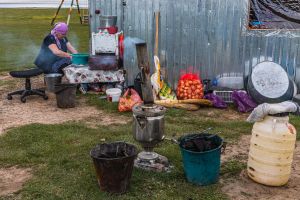 22 06 10 12.50.08 100 22.06.10 org ma