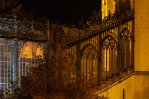 22 10 13 21.47.46 279 hdr 22.10.13 org ma