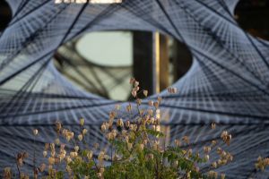 texoversum 05 20220908 p9080566 b1920