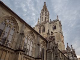 schmollinger konstanz f9234155 s