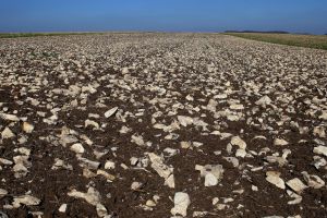 Steinreich Acker auf der Alb 