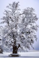 Olympus 21.01.14 16 45 14 01