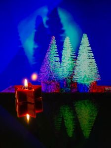 8 klara dittrich rommel