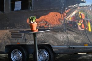 dsc 8503 spiegelung foodtruck hoch