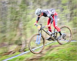 web950mrsign dsc4432kleentw